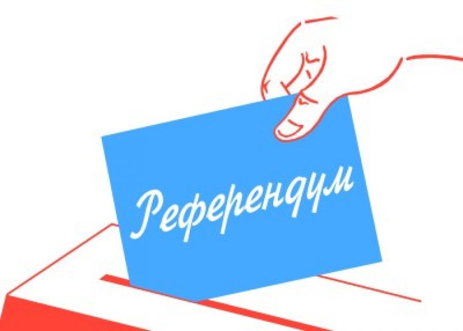 XVII областной детский Референдум.